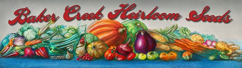 The top 8 Heirloom non gmo organic seeds 2 Non - Hybrid - Baker Creek Heirloom Seeds
